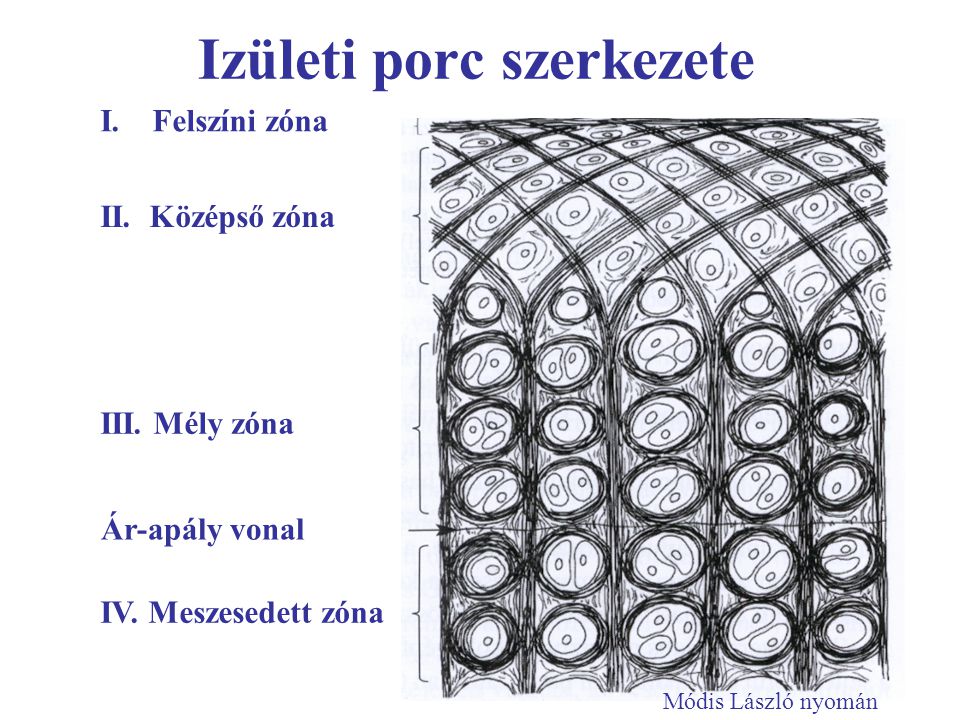 Milyen porcerősítők vannak? Így használja őket! - EgészségKalauz